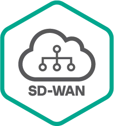 Kaspersky SD-WAN купить в Москве