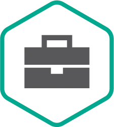 Kaspersky Professional Services купить в Москве