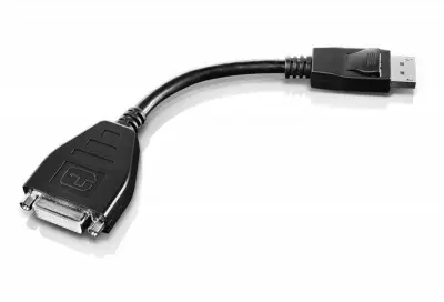 Переходник Lenovo 45J7915 DVI-D (m) DisplayPort (m) 0.2м черный