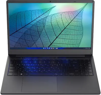 Ноутбук Hiper Workbook N15RP Ryzen 5 3500U 8Gb SSD256Gb AMD Radeon Vega 8 15.6" IPS FHD (1920x1080) Astra Linux black WiFi BT Cam 6000mAh (N15RP95AS)