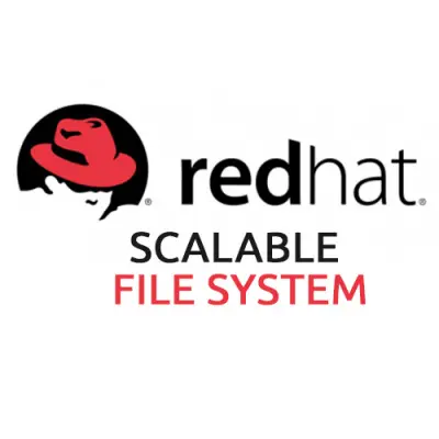 Red Hat Scalable File System купить в Москве