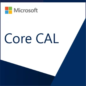 Microsoft Core CAL купить в Москве