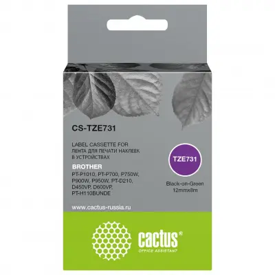 Картридж ленточный Cactus CS-TZE731 TZe-731 черный для Brother PT-P1010, PT-P700, P750W, P900W, P950W, PT-D210, D450VP, D600VP, PT-H110BUNDE